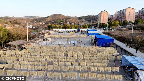 農副食品加工忙