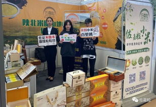 佐嘉粒米脂小米攜手2019一鄉(xiāng)一品國際商品博覽會，致力打造中國小米品牌商品批發(fā)貿(mào)易